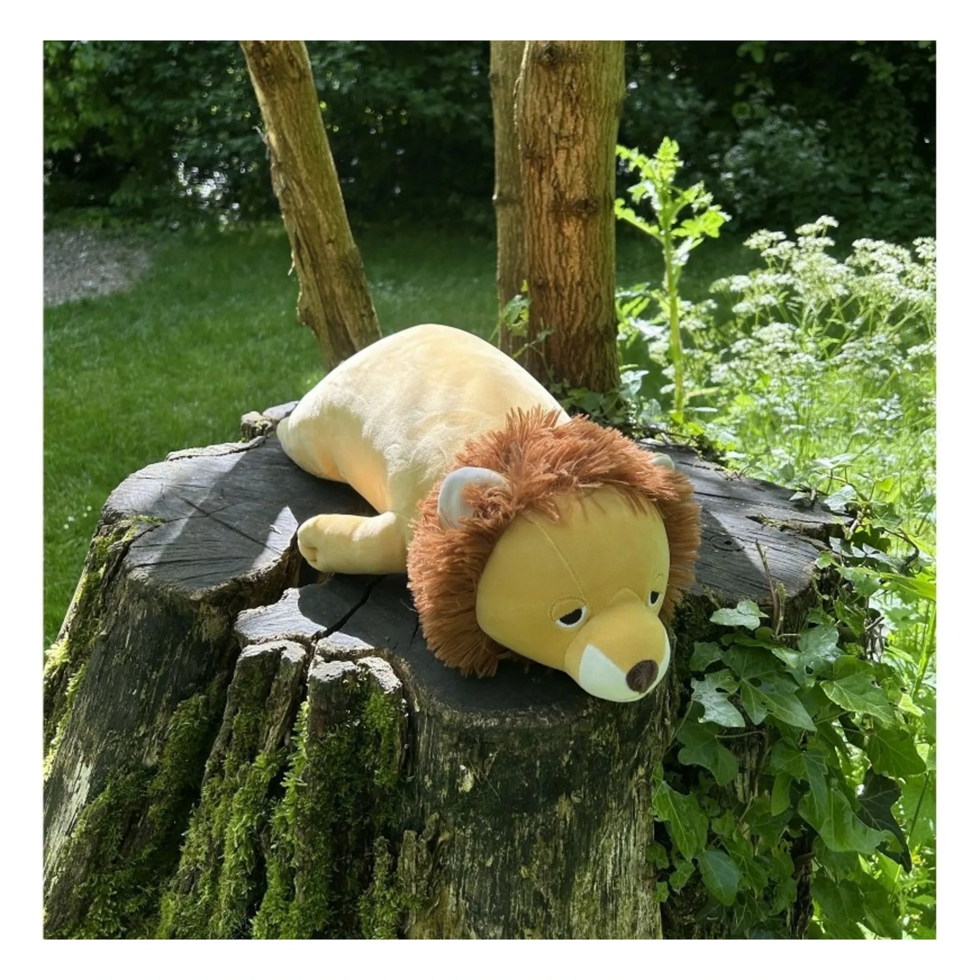 Nemu Nemu - Leon the Lion plush | Camel