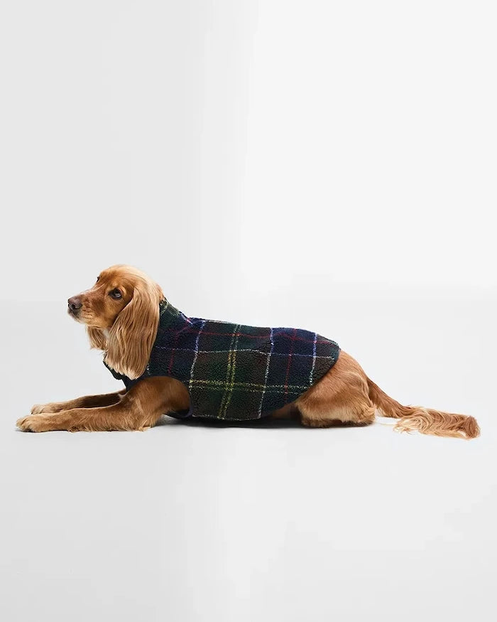 Barbour Field Çift Taraflı Köpek Montu