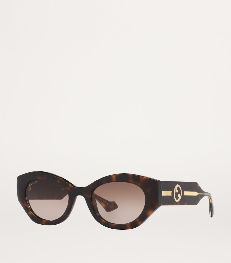 Brown Injected Oval Sunglasses