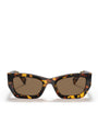 Brown Acetate 0MU 09WS Sunglasses
