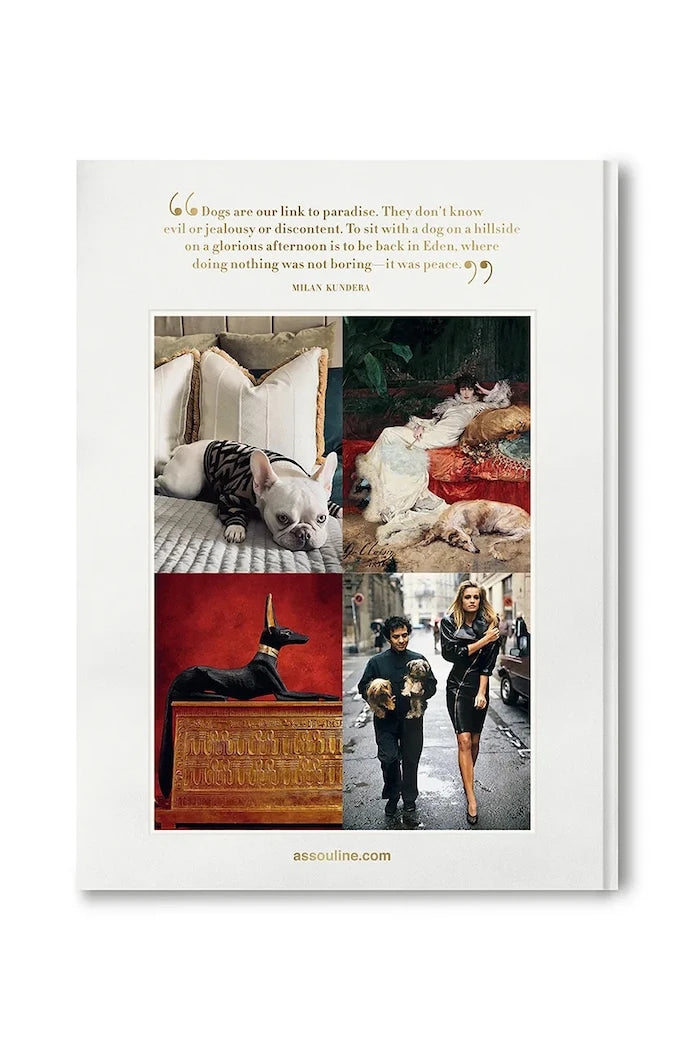 Assouline Chic Dogs by Robert Williams Kitabı, İngilizce