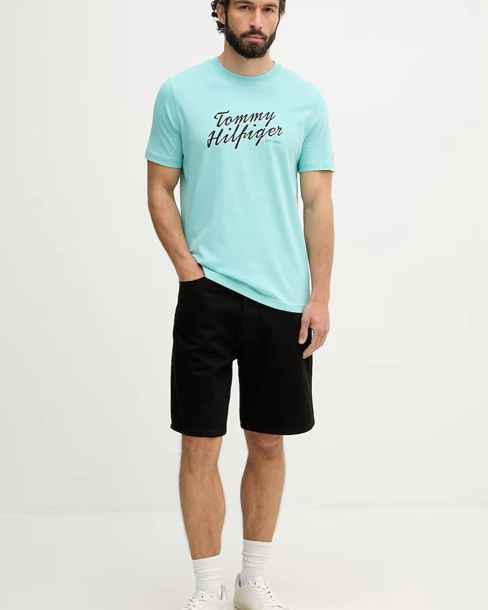Tommy Hilfiger erkek pamuklu tişört