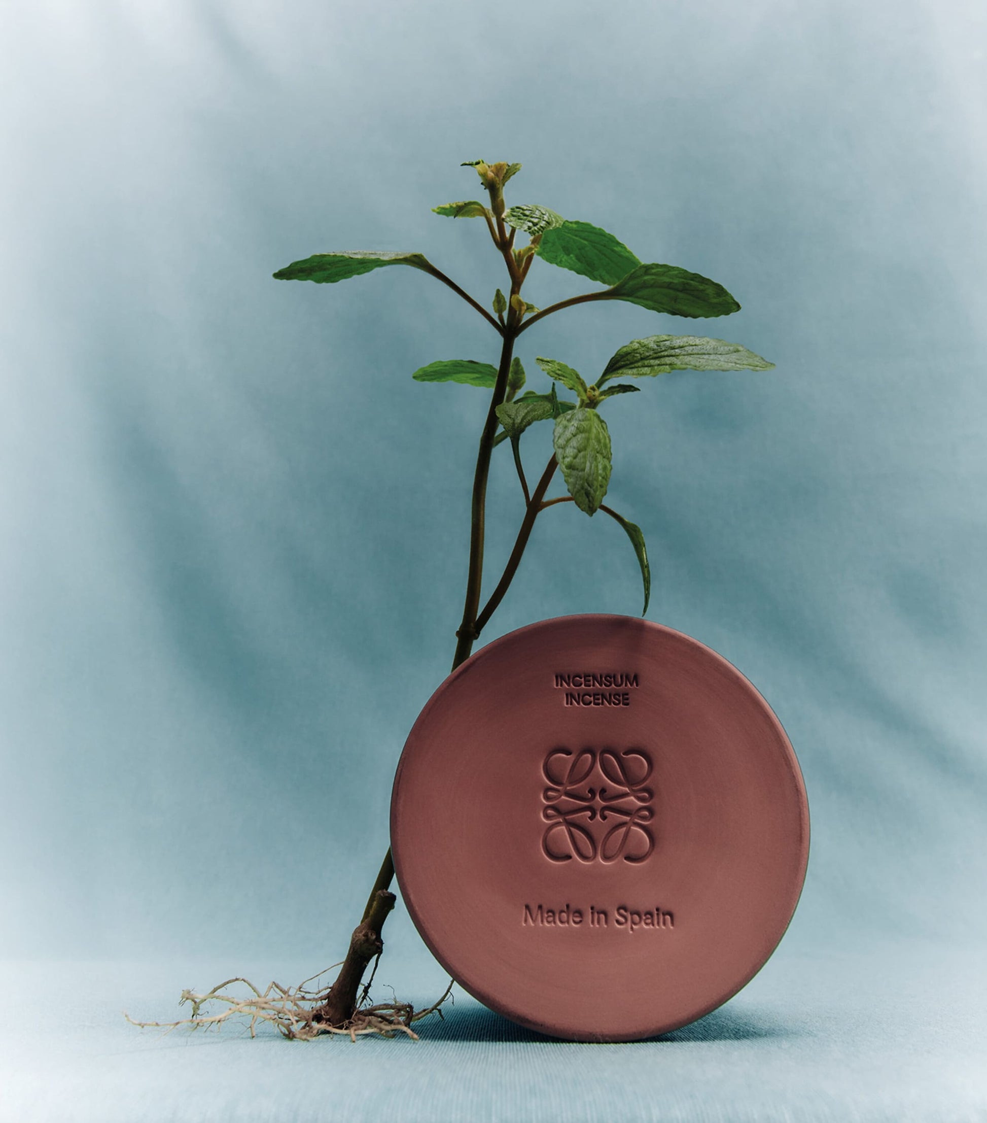 LOEWE Large Incense Scented Candle