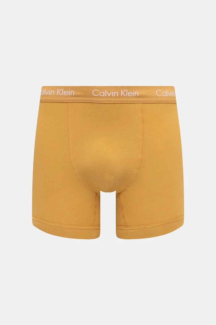 Calvin Klein Underwear erkek pamuklu elastan boxer 5'li