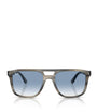 Brown RB2213 Aviator Sunglasses