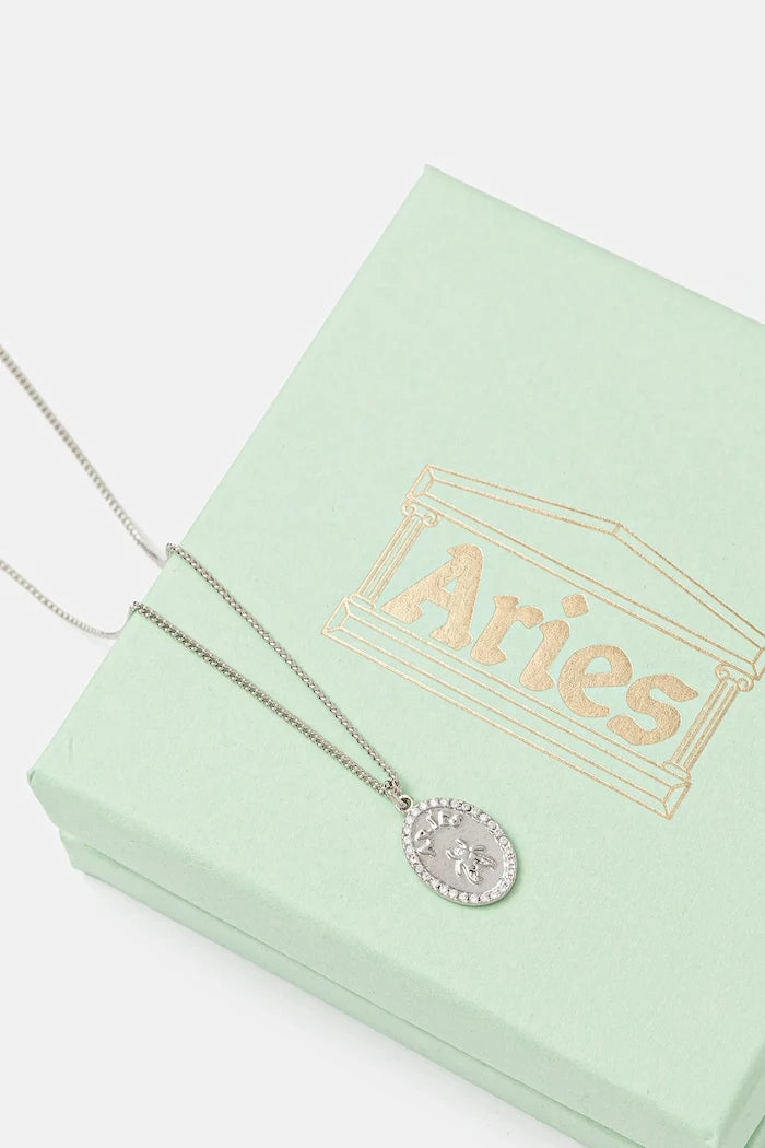 Aries Zincir Kolye Taşlı Sinek Süslemeli Sarkan Detaylarla