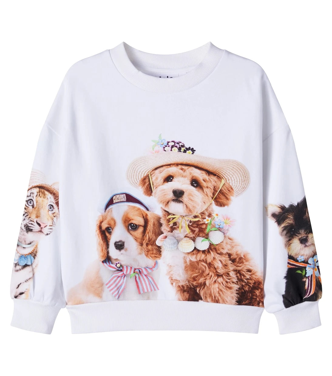 Molo - Maxi printed cotton jersey sweatshirt