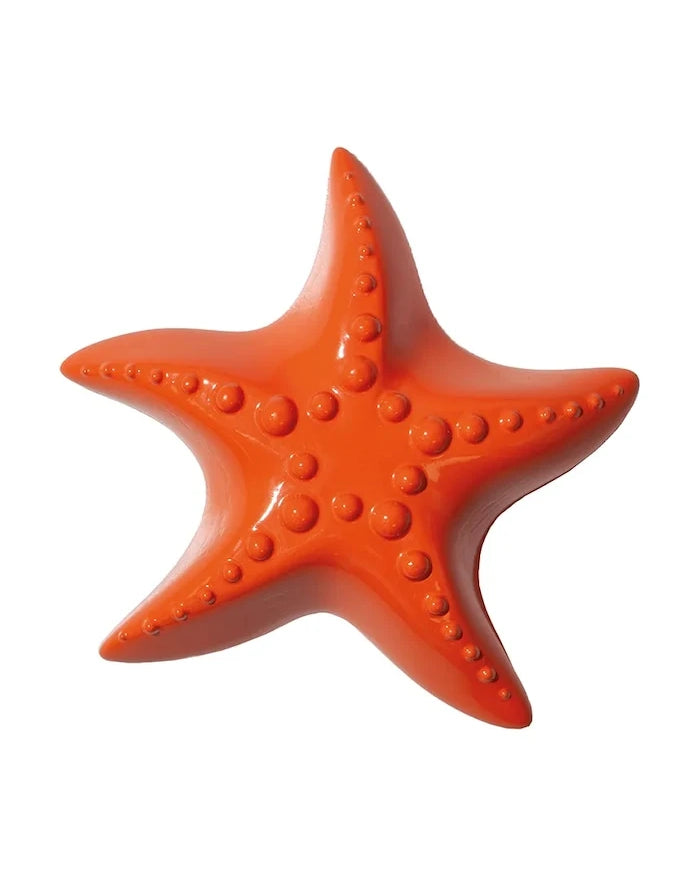 DOIY Ocean Dreams Şişe Açacağı, Starfish