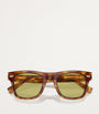 Brown Acetate BC4002S Sunglasses