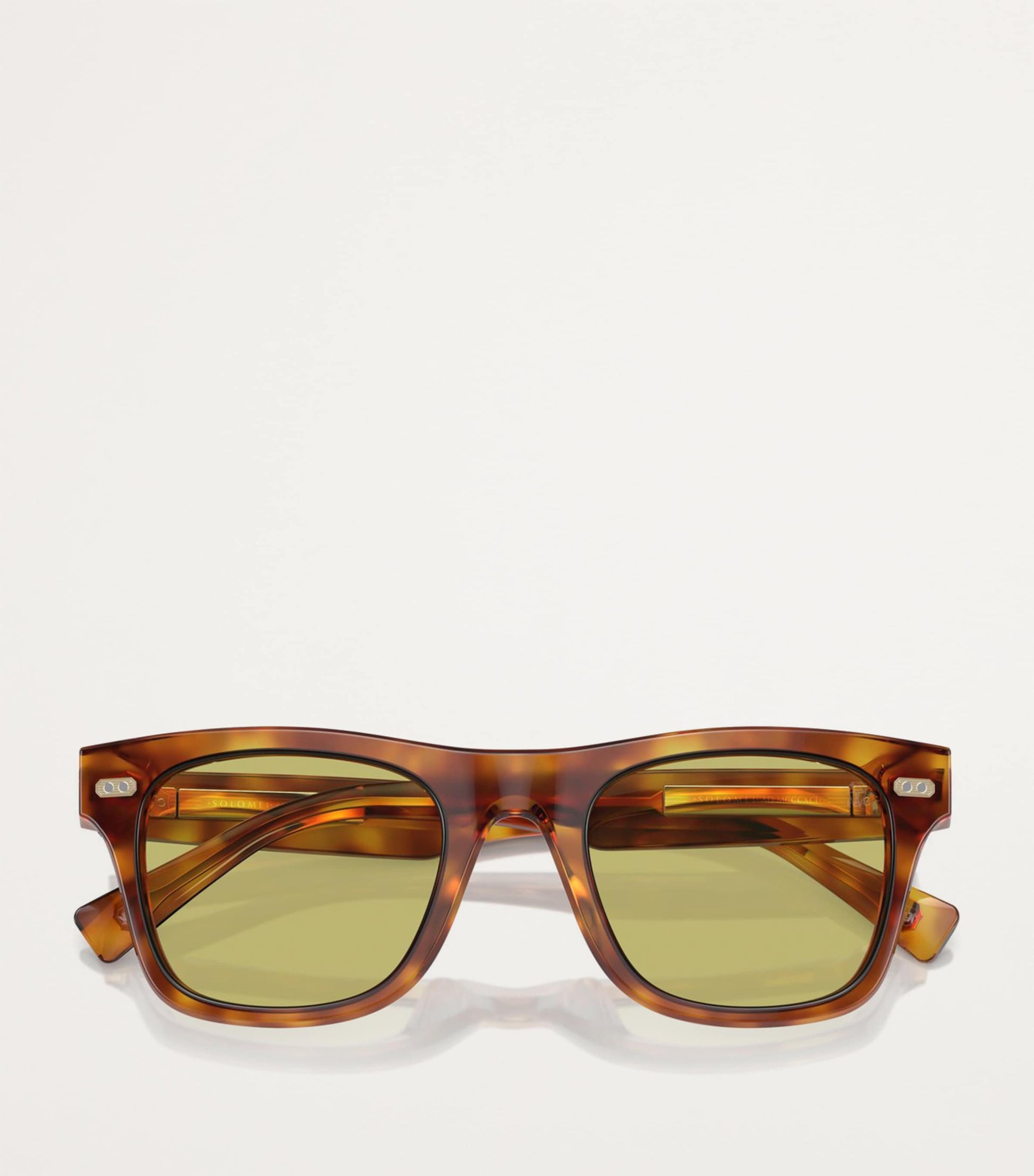 Brown Acetate BC4002S Sunglasses