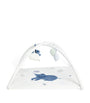 Activity Playmat