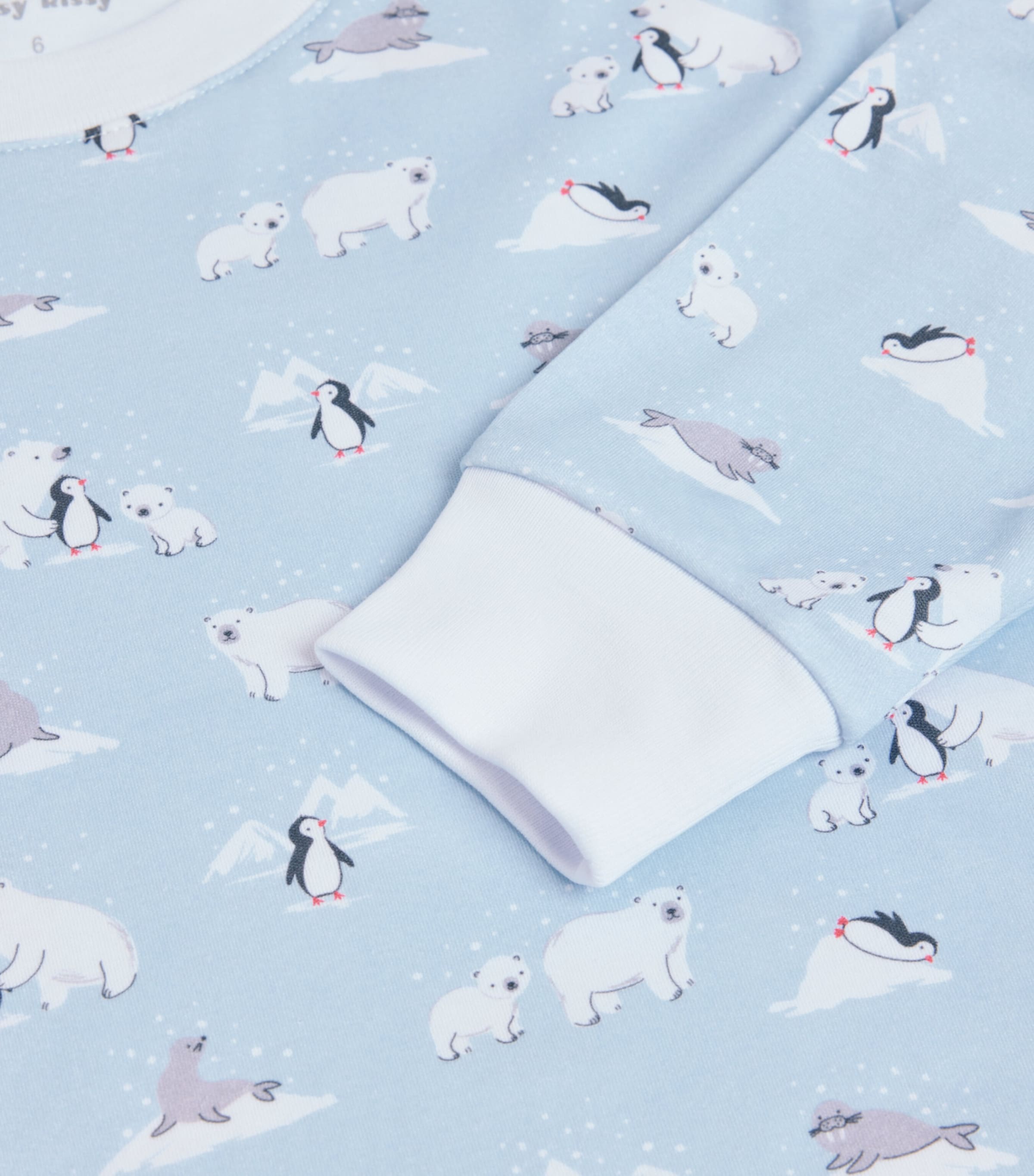 Arctic Awe Pyjama Set (2-6 Years)