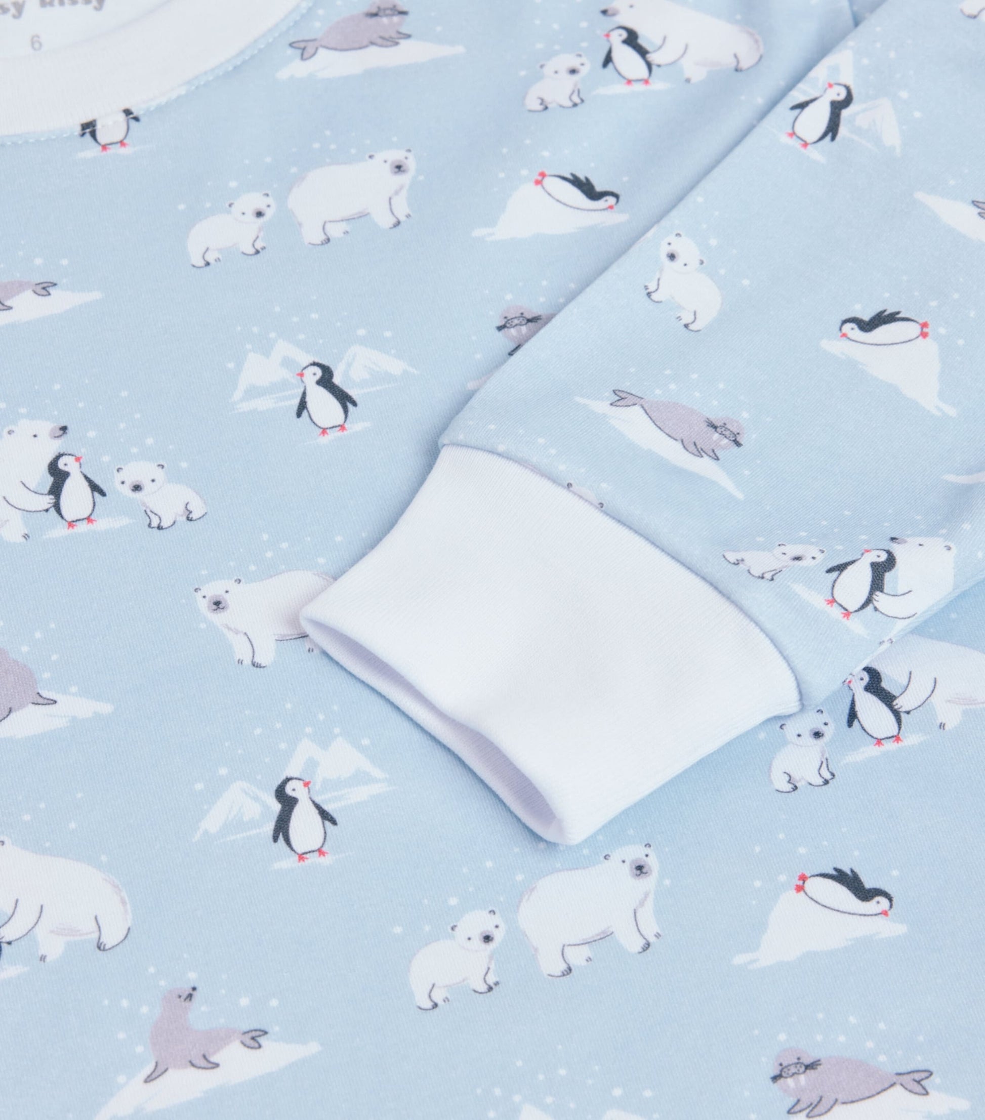 Arctic Awe Pyjama Set (2-6 Years)