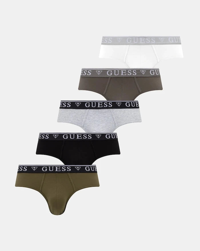 Guess pamuklu elastanlı erkek slip 5'li