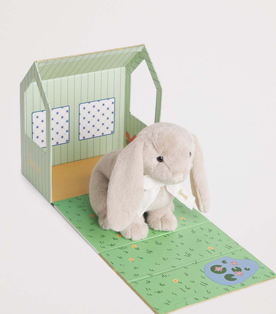 Rabbit In A Hutch Soft Toy