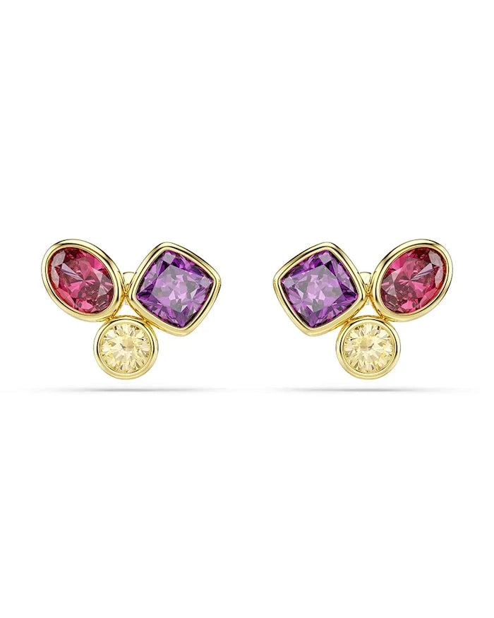 Swarovski Kadın Altın Kaplama Zirkon Küpe IMBER