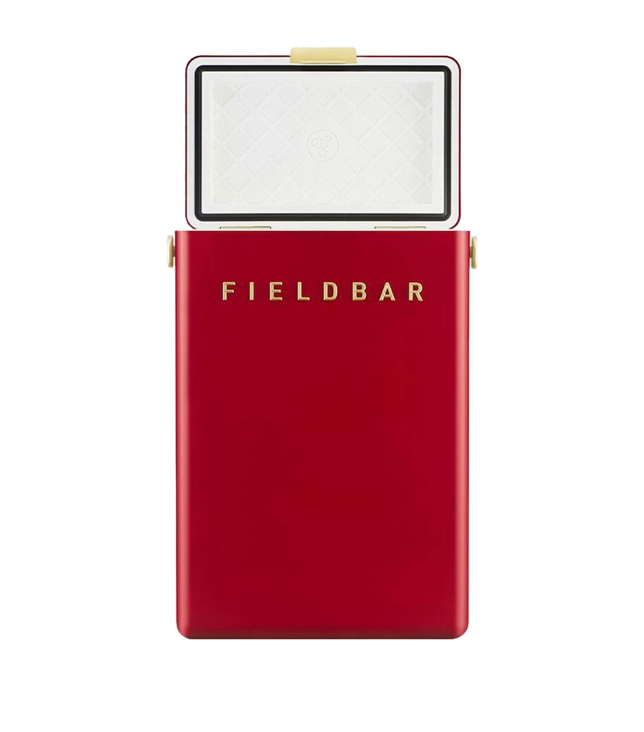 Drinks Box Cooler with Interchangeable Straps (10L)