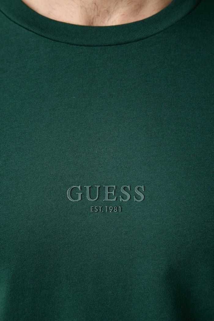 Guess erkek pamuklu tişört AIDY