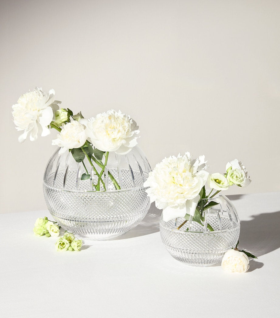 Waterford Crystal Mastercraft Irish Lace Rose Bowl (20cm)