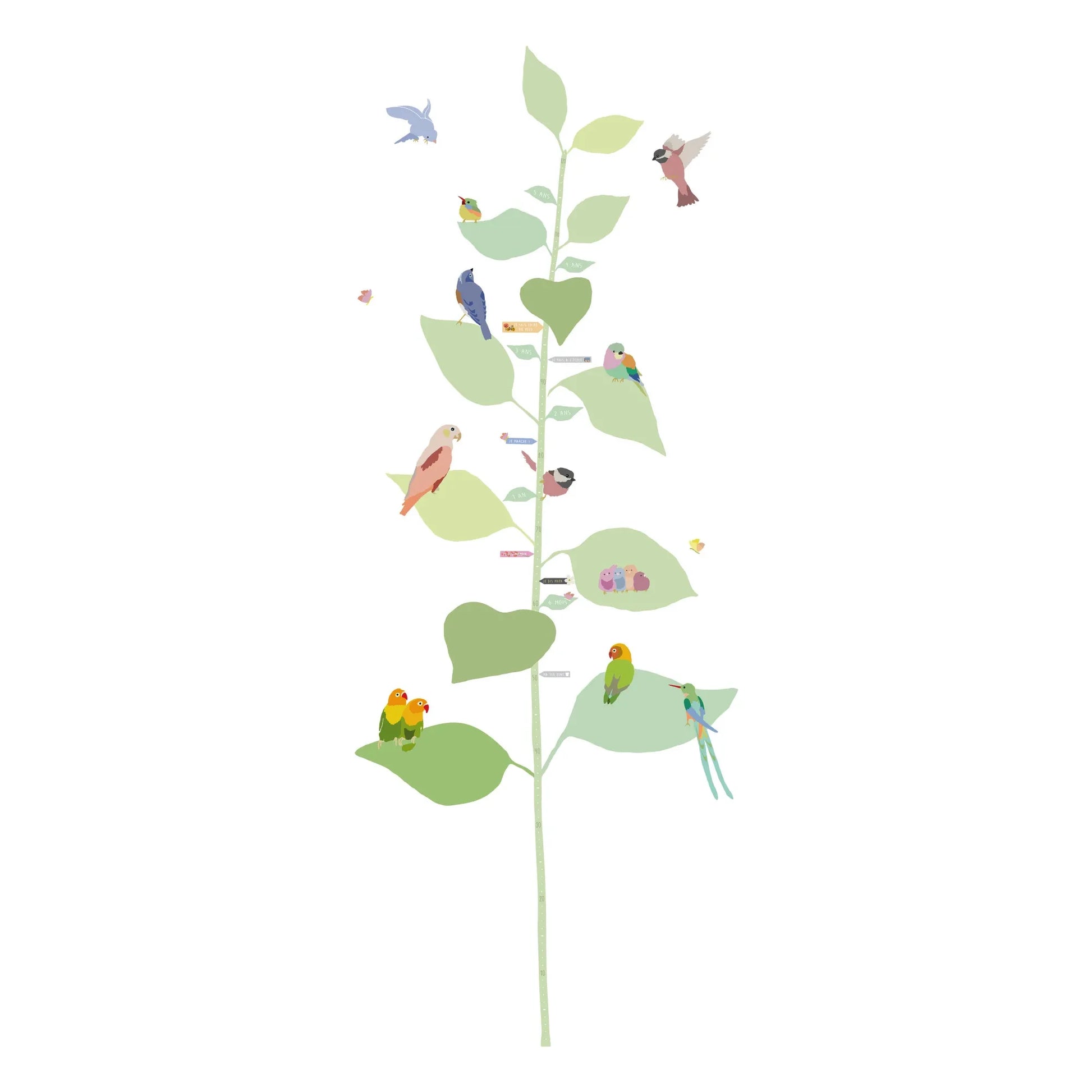 MIMI'lou - With The Birds Height Growth Chart - FR