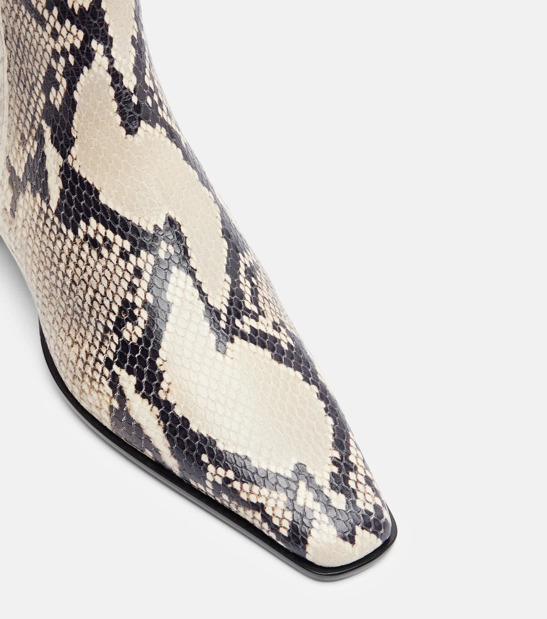 Paris Texas - Bettina snake-print ankle boots