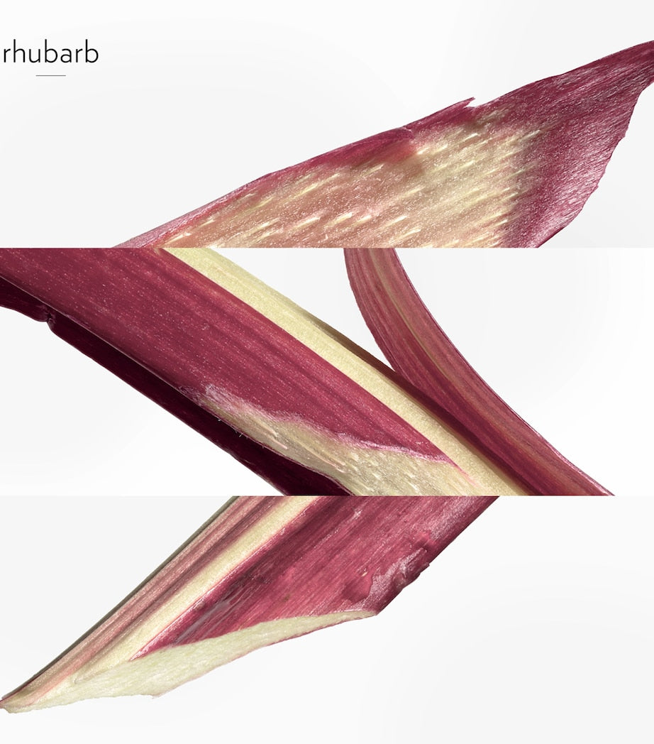 HERMÈS Eau de Rhubarbe Écarlate Eau de Cologne (100ml)