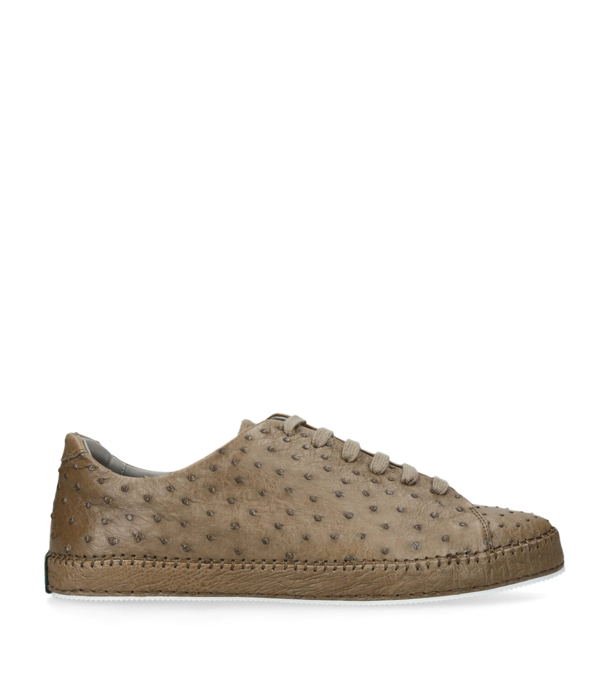 Brotini Ostrich Sneakers