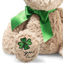 Jimmy Good Luck Teddy Bear (30cm)