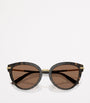 Brown Butterfly Sunglasses