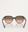 Brunello Cucinelli Brown Titanium BC4004S Sunglasses