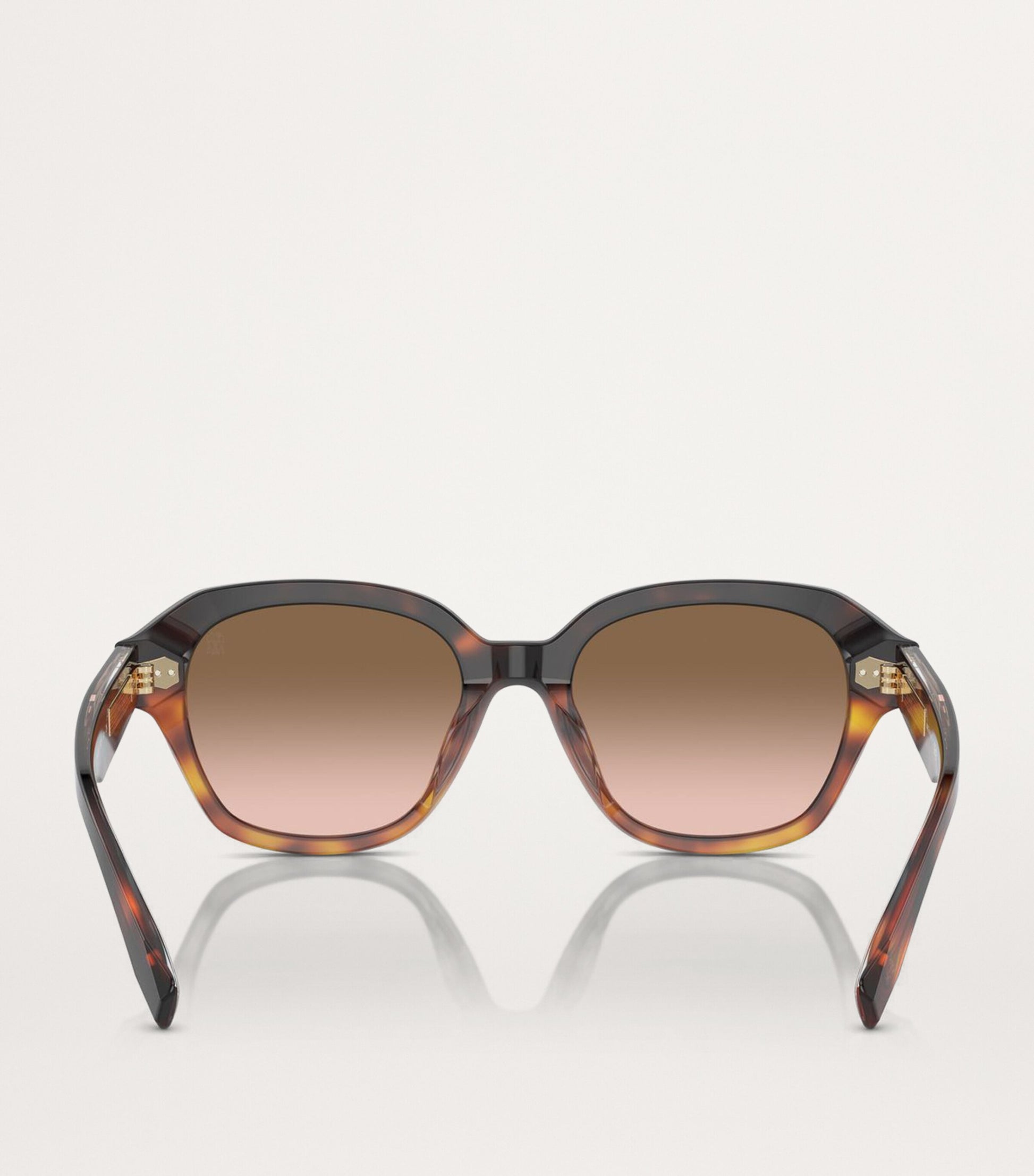 Brunello Cucinelli Brown Titanium BC4004S Sunglasses