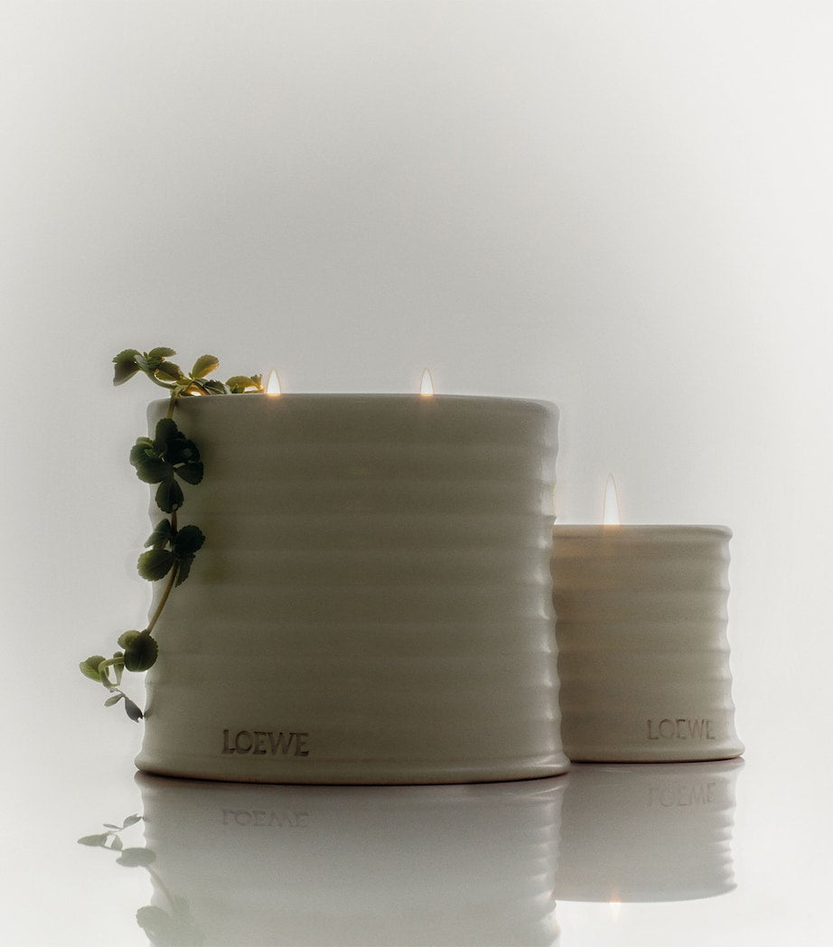 Large Oregano Scented Candle