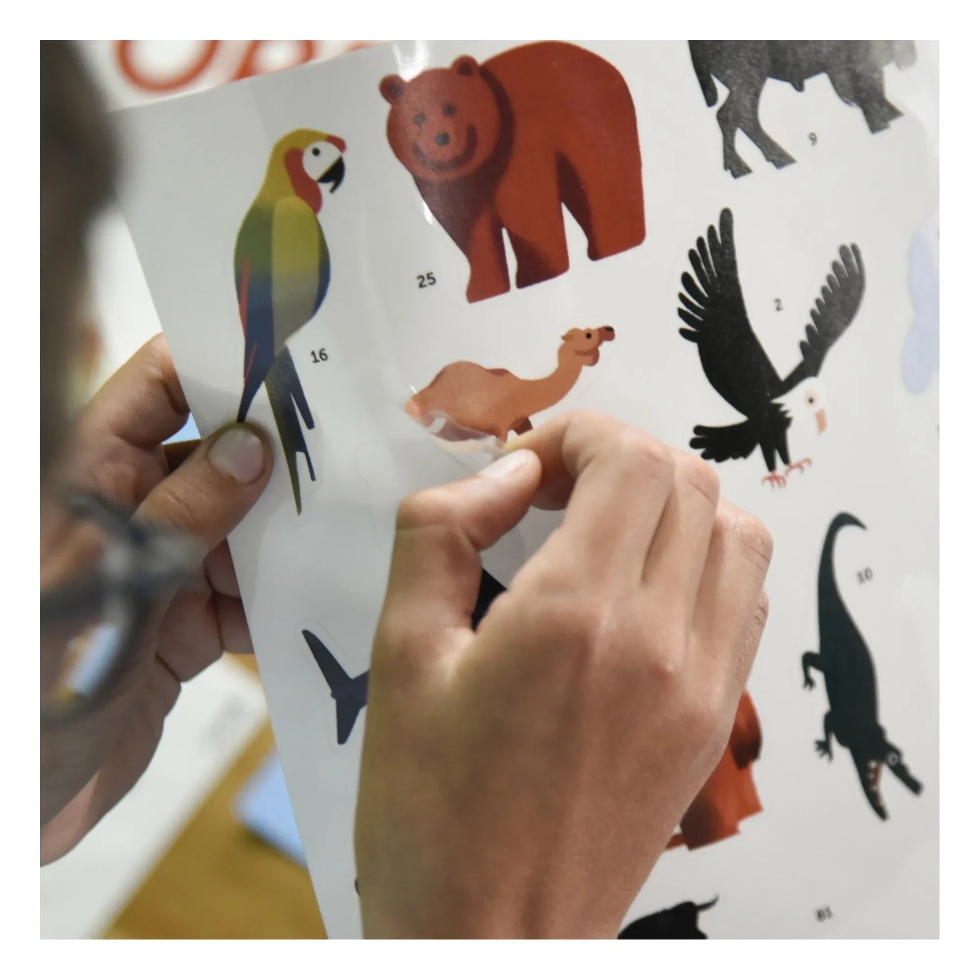 Poppik - Animals Poster + Stickers