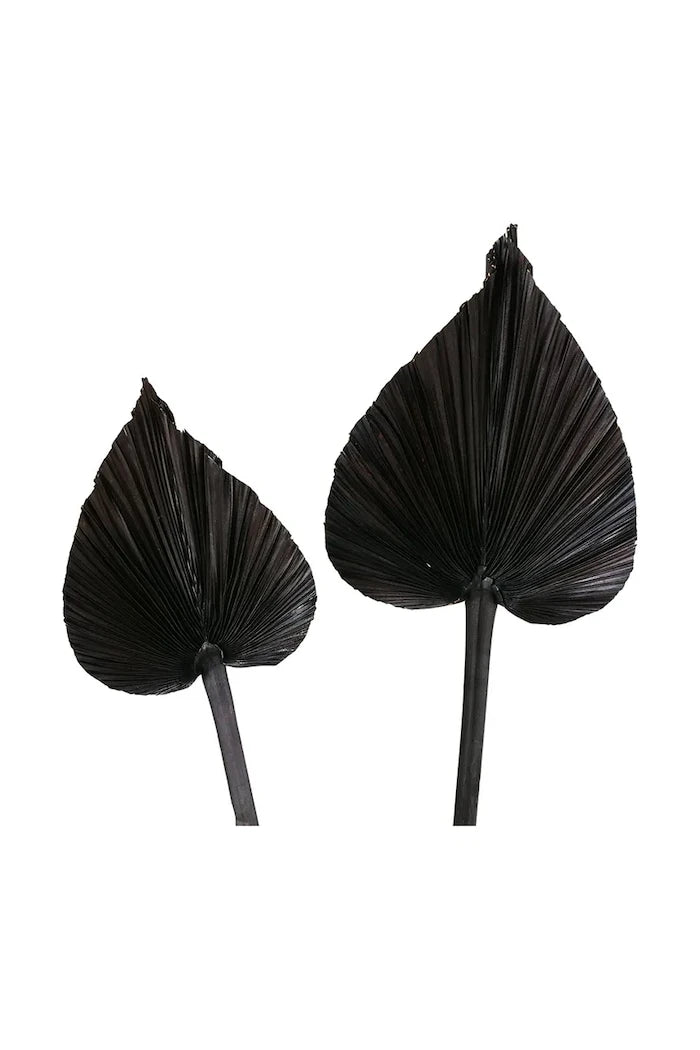 Декорация Boltze Areca (2 броя)