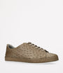 Brotini Ostrich Sneakers
