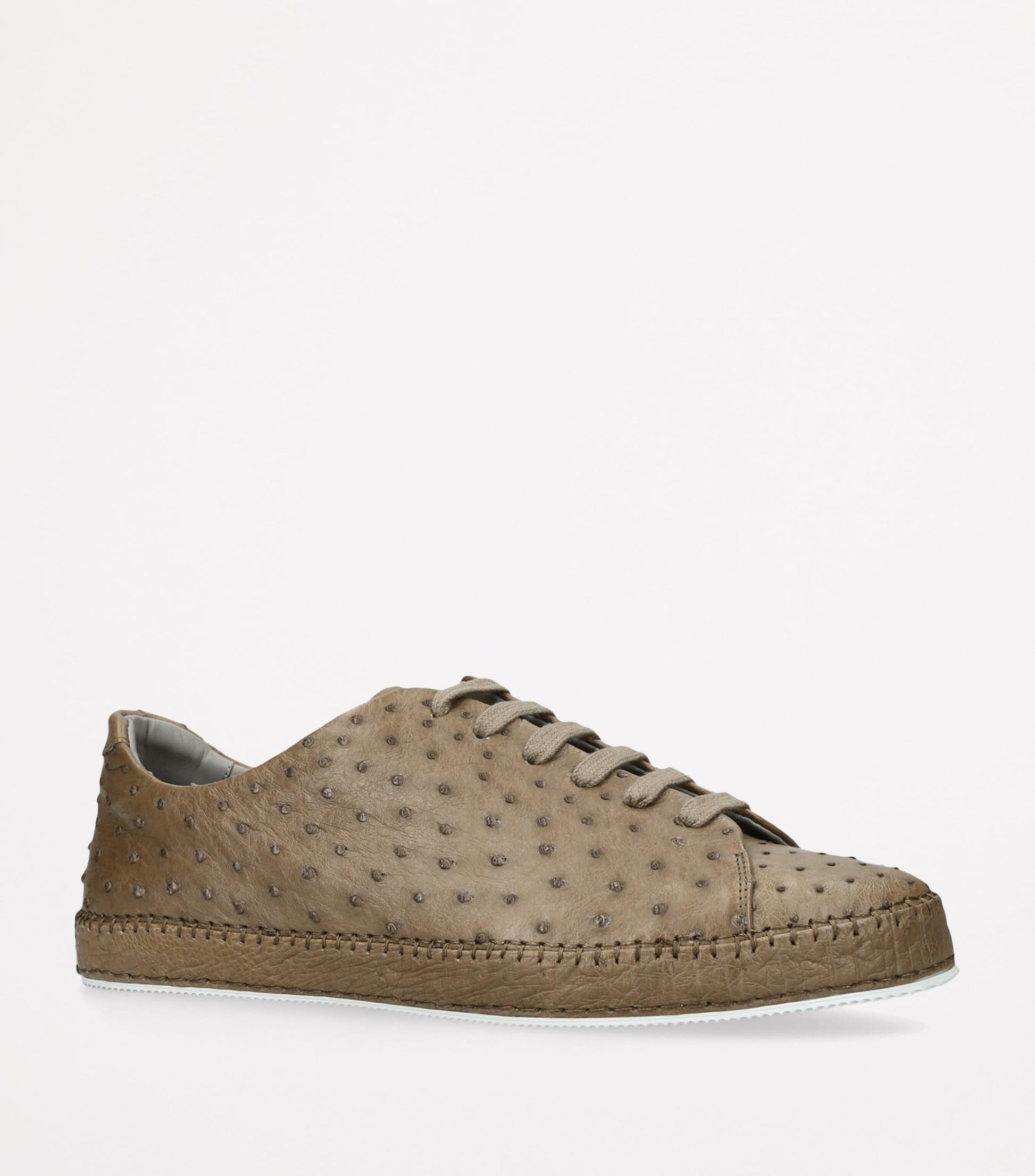 Brotini Ostrich Sneakers
