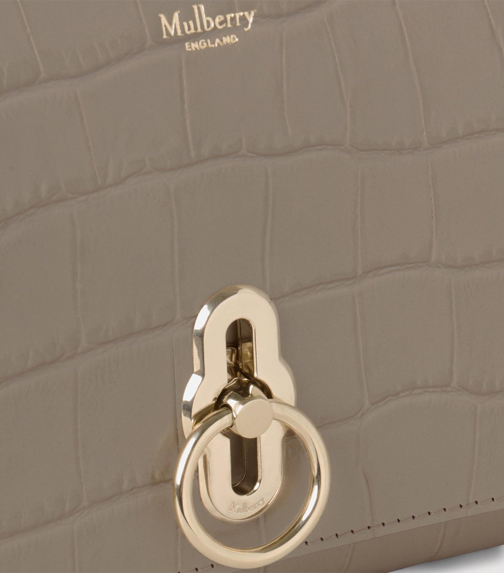 Mulberry Neutral Small Leather Amberly Clutch Bag