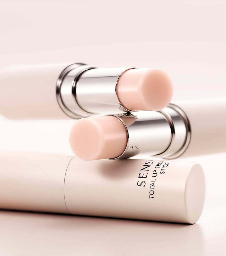 Total Lip Treatment Stick