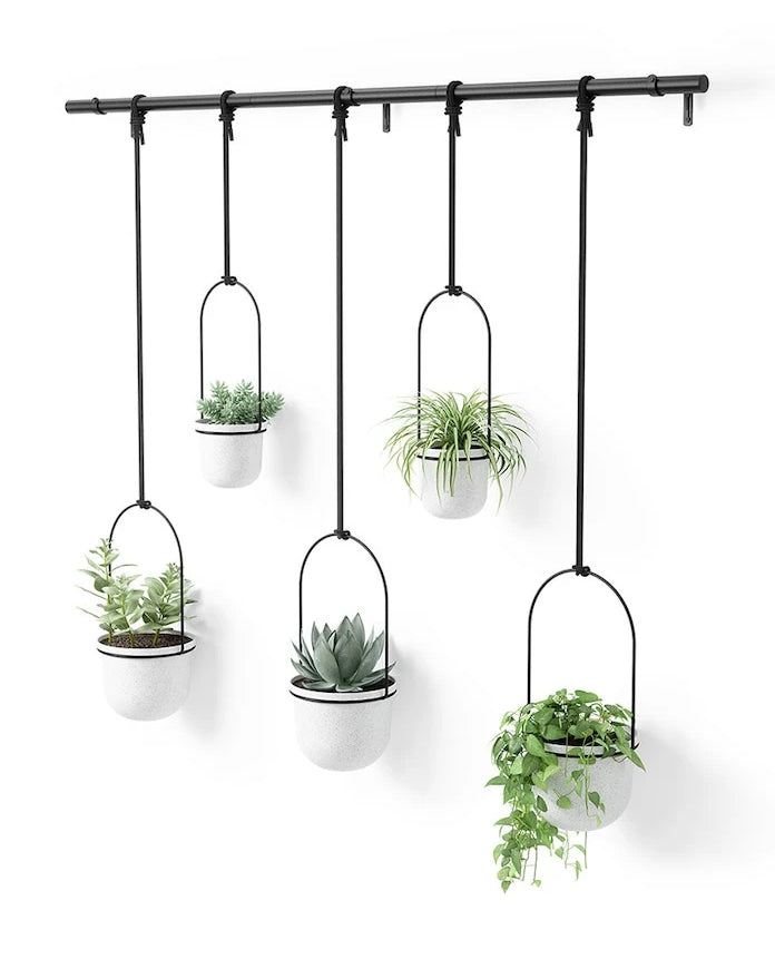 Umbra Duvar Saksı Seti 2 x O 10 cm / 3 x O15 cm