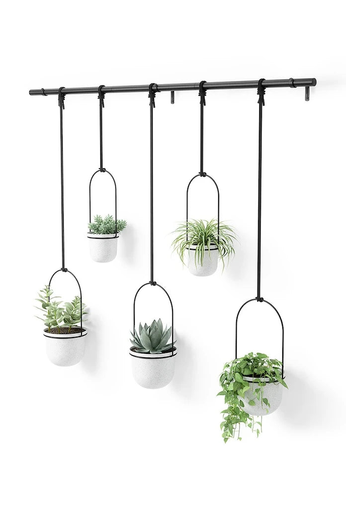 Umbra Duvar Saksı Seti 2 x O 10 cm / 3 x O15 cm