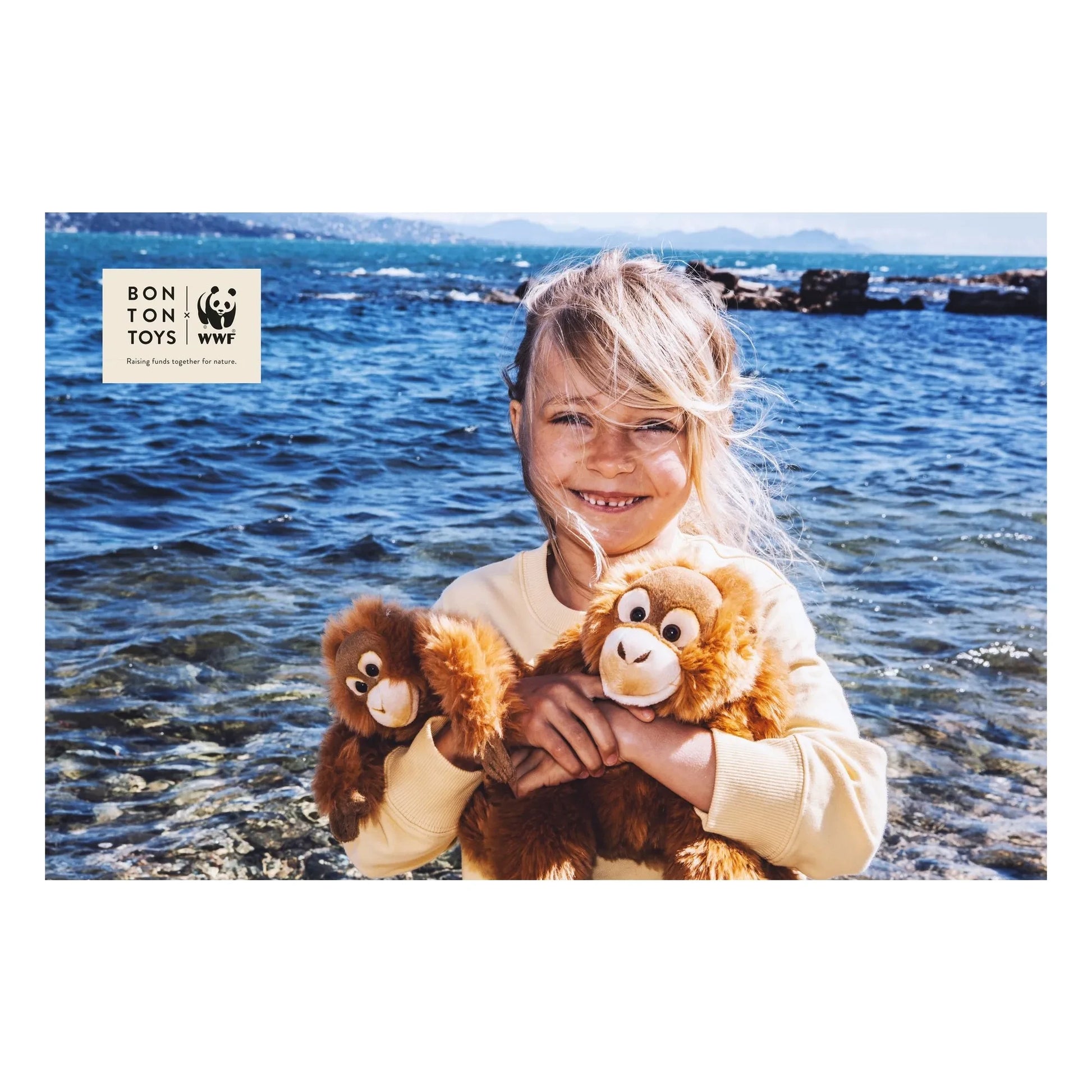 Bon Ton Toys - WWF - Chimpanzee plush | Brown