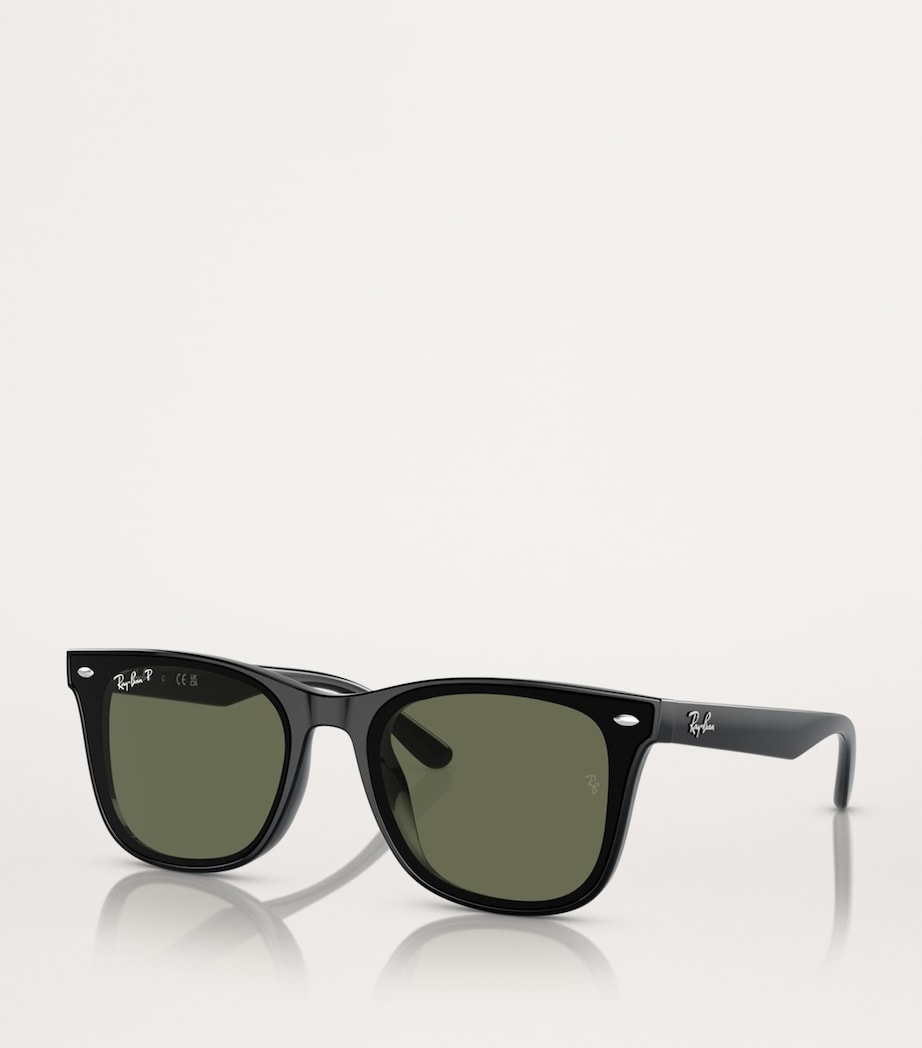 Injected RB4420 Sunglasses