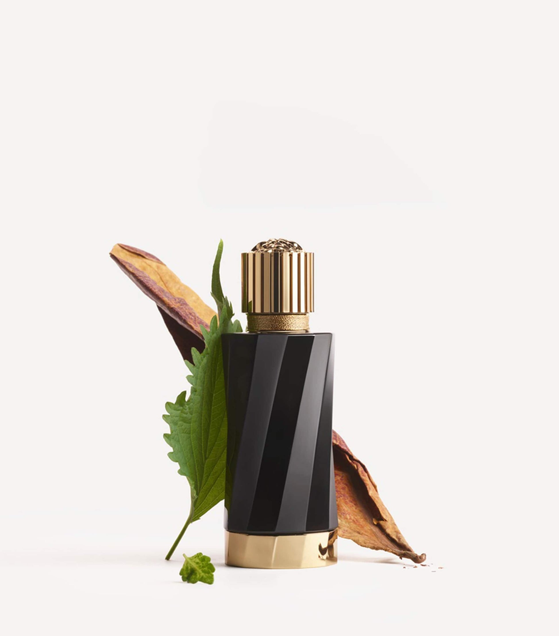 Atelier Collection Tabac Impérial Eau de Parfum (100ml)