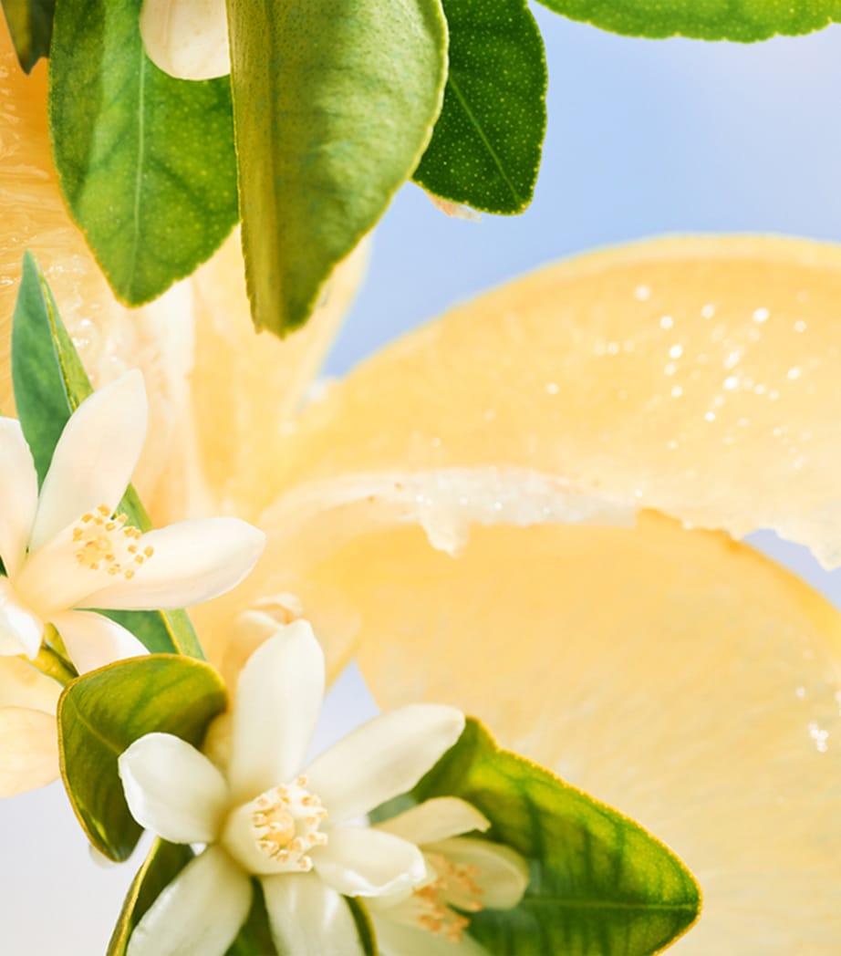 Allegra Riva Solare Hand and Body Liquid Soap (250ml)