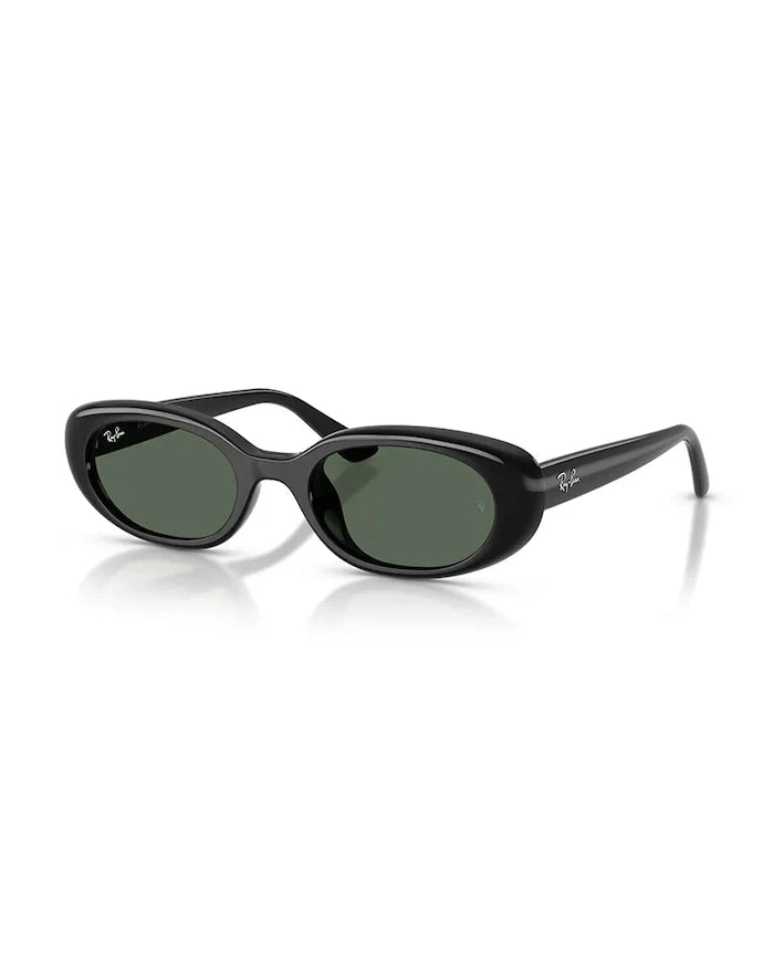 Ray-Ban Güneş Gözlüğü