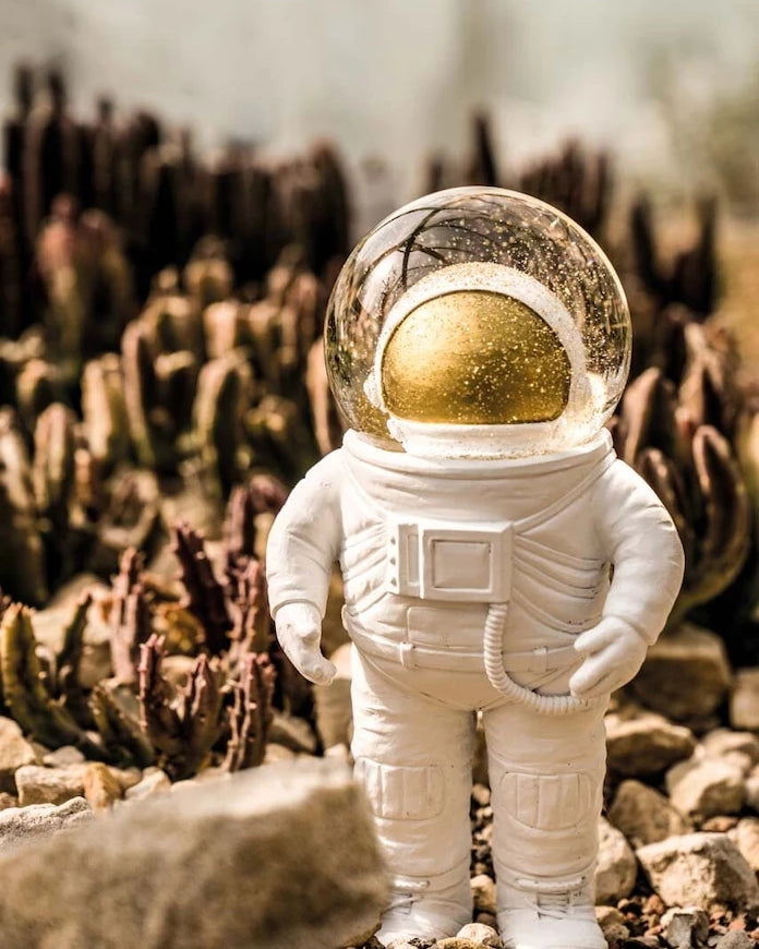 Donkey Summerglobe The Astronaut Dekorasyonu