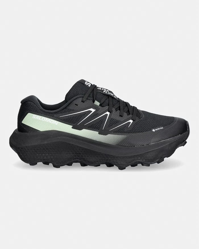 Salomon erkek koşu ayakkabıları ULTRA FLOW 2 GTX