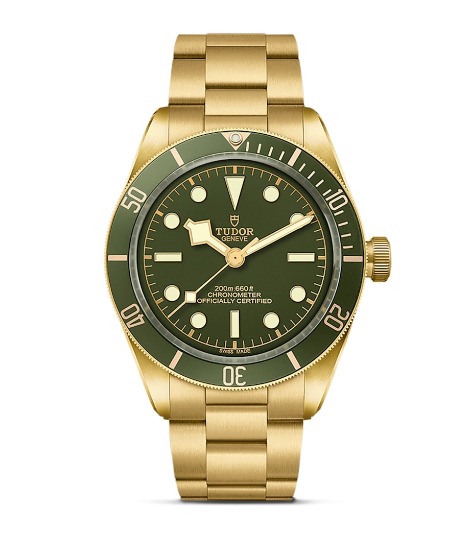 TUDOR Black Bay Yellow Gold Watch 39mm