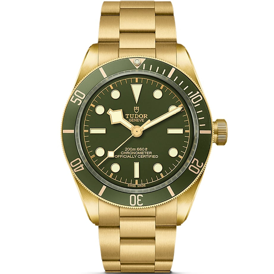 TUDOR Black Bay Yellow Gold Watch 39mm