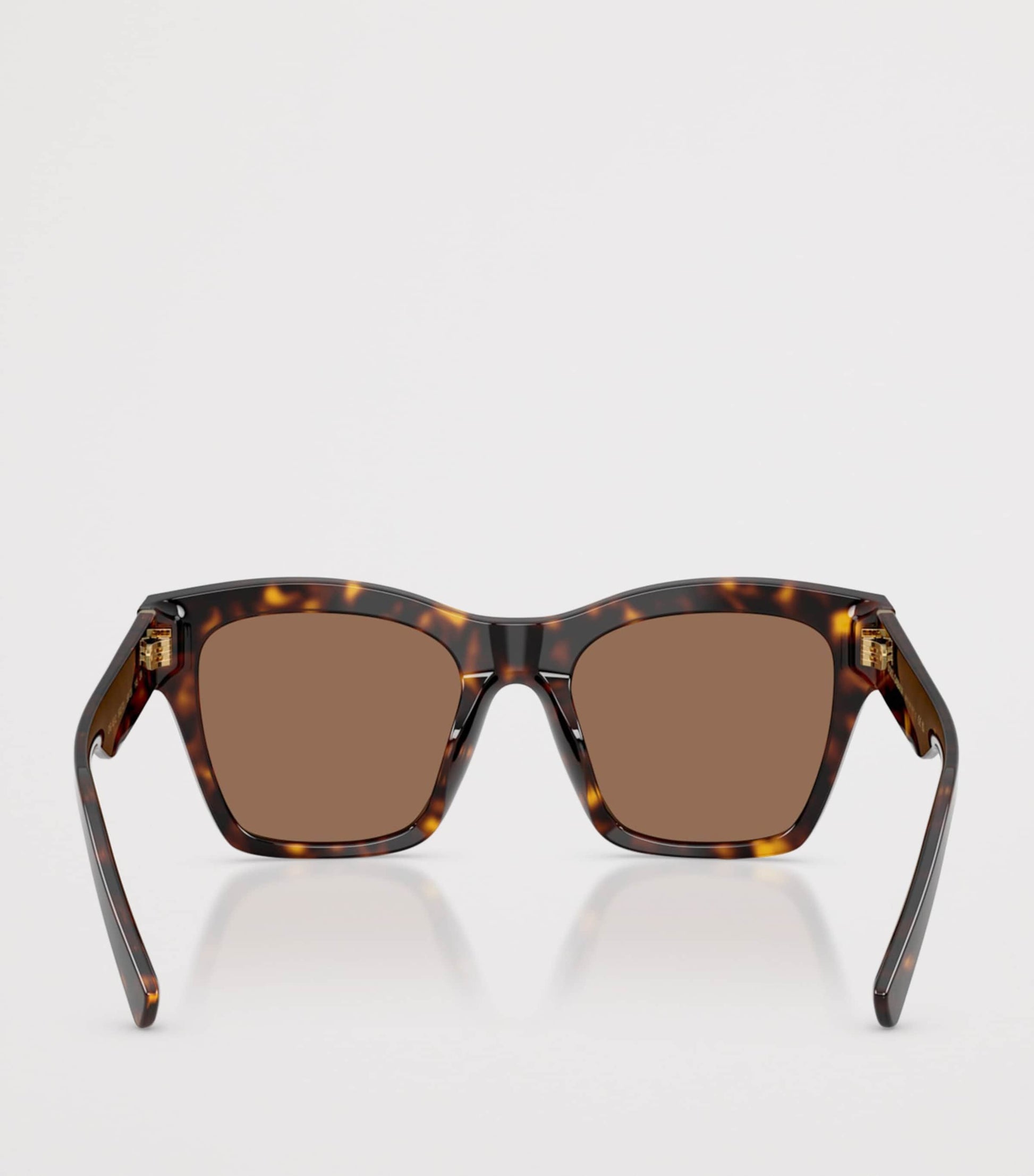 Brown Tortoiseshell Square Sunglasses